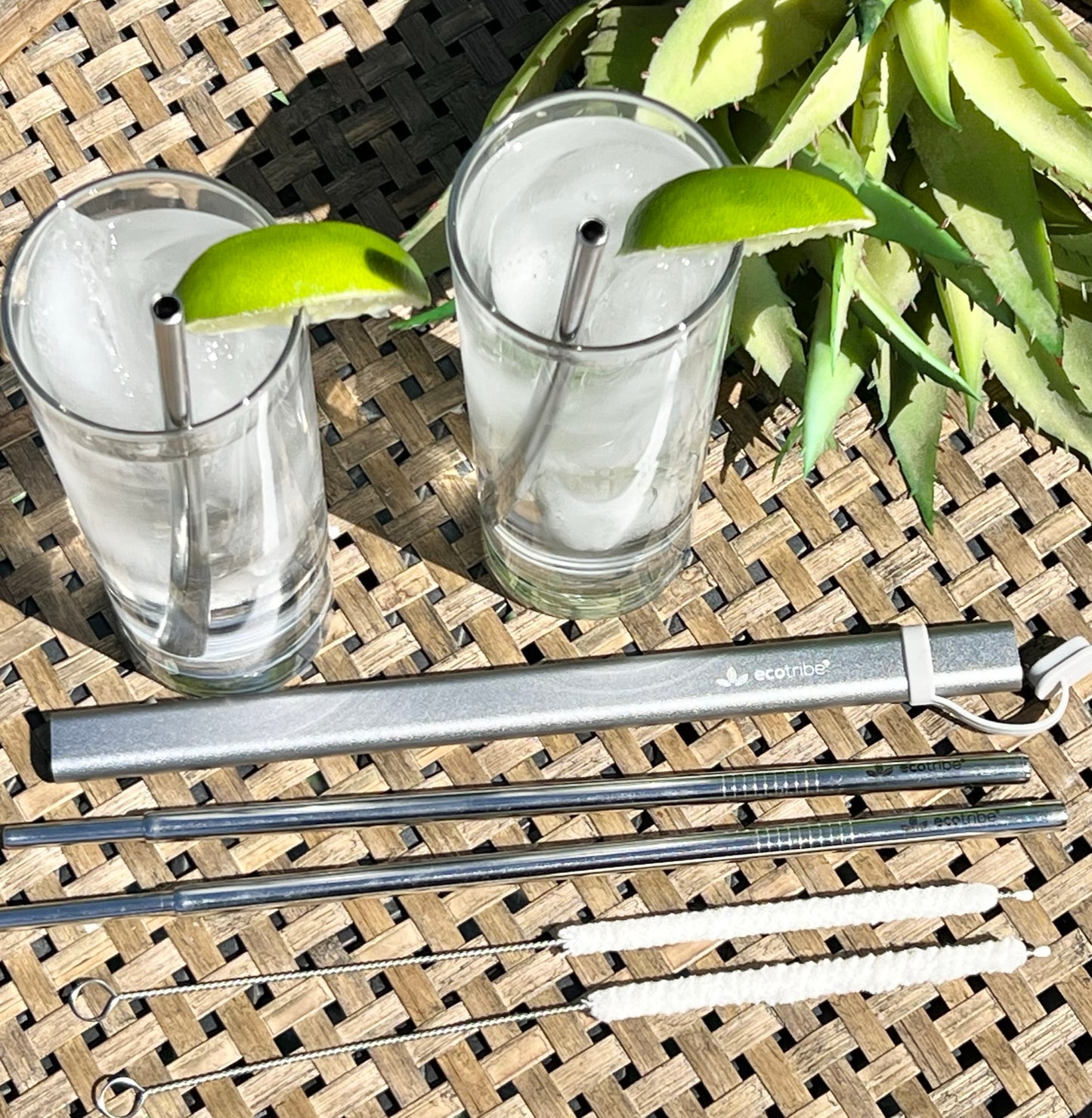 Eco Friendly Stainless Straw With Storage | 2 Sets