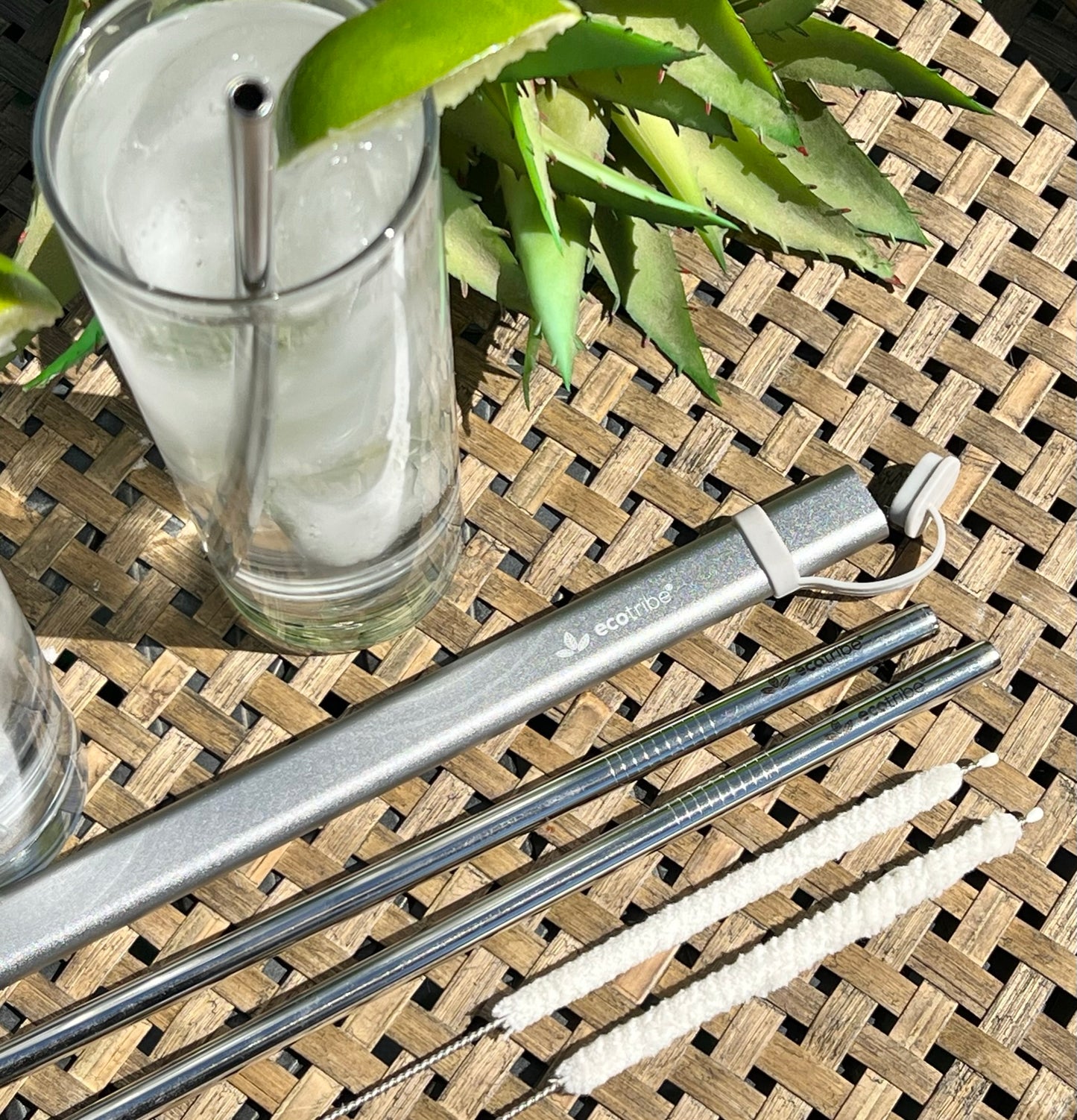 Eco Friendly Stainless Straw With Storage | 2 Sets